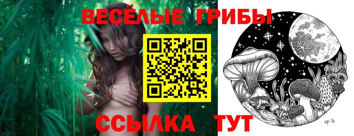 Галлюциногенные грибы Psilocybine cubensis  Вход с VPN  Псилоцибиновые грибы мицелий  Киров 